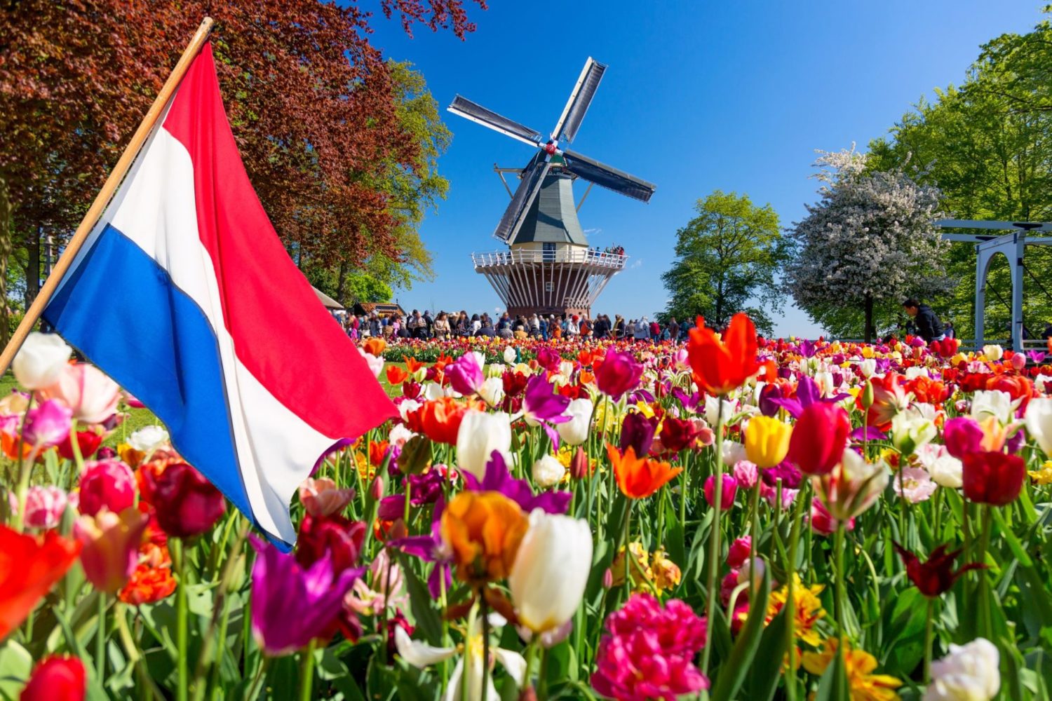 Coronavirus and Brexit impact the arrival of foreign companies to the Netherlands in 2020