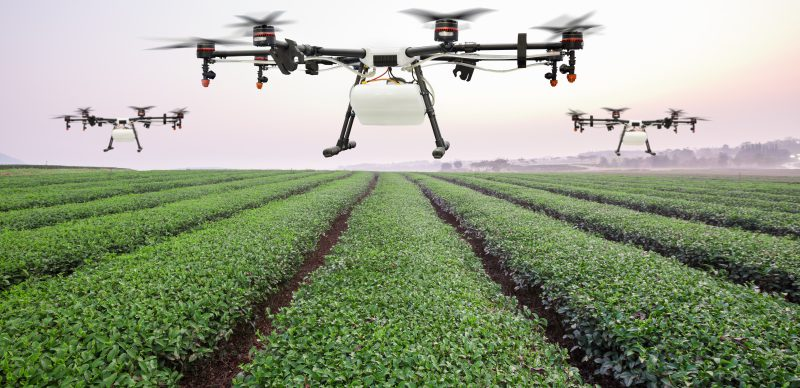 A drone flying over crops